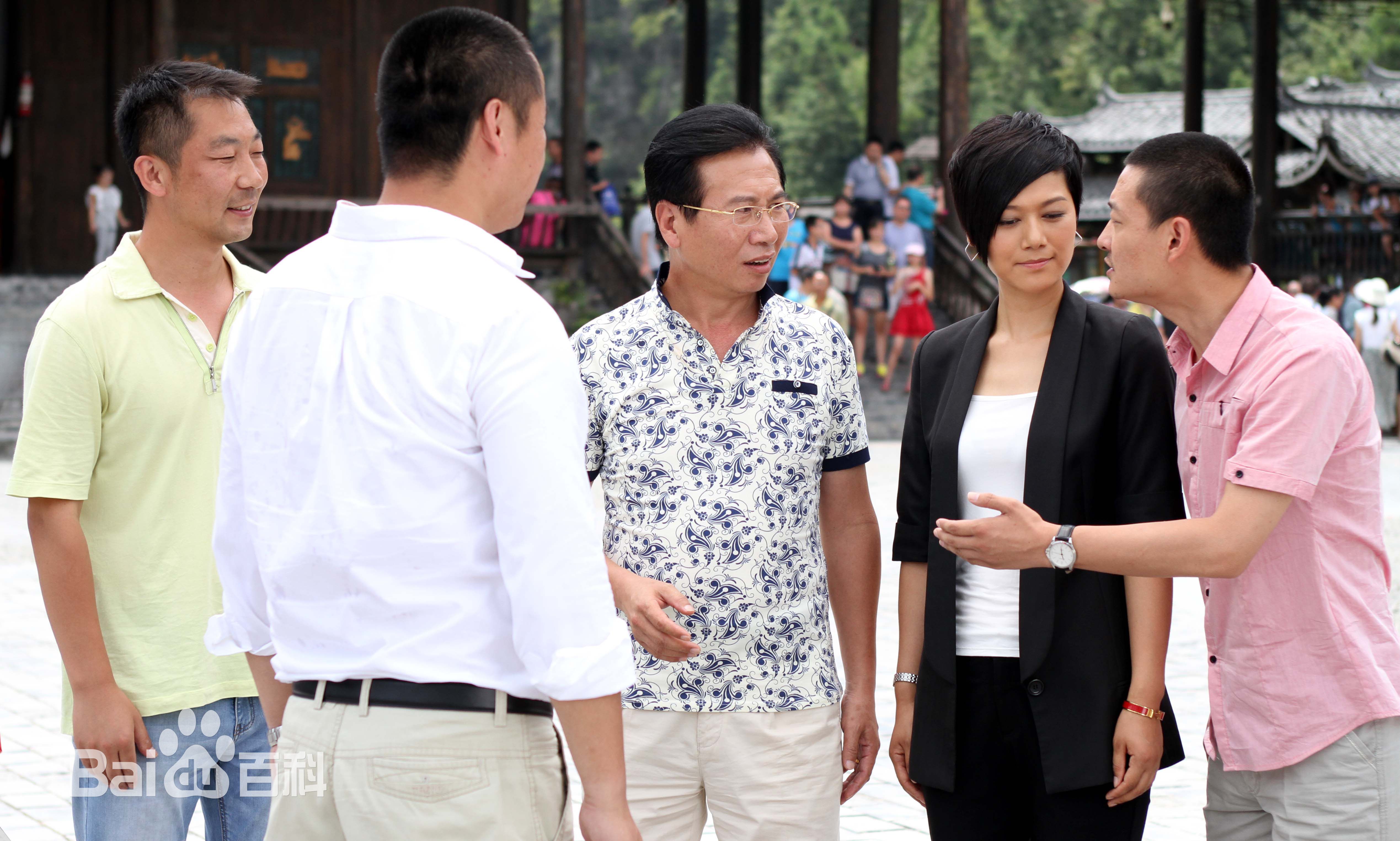 张志伟(Zhang Zhiwei)现代精选剧照