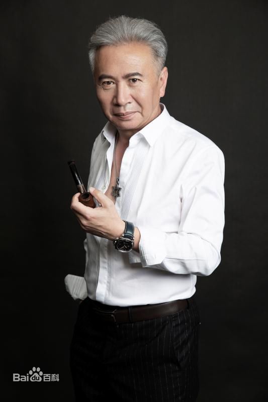 张志伟(Zhang Zhiwei)现代精选剧照