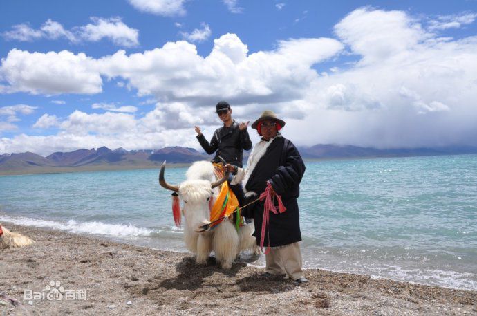 高清刘子豪(Jeff Liu)精彩图册