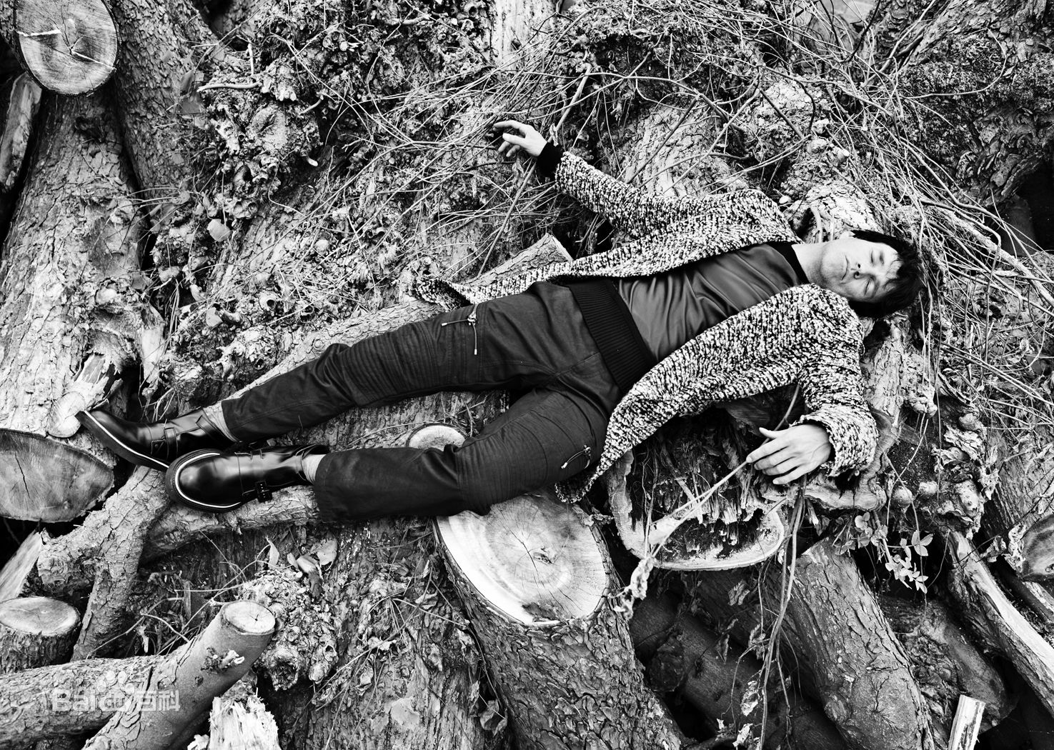 最新史蒂芬·莫耶(Stephen Moyer)精彩图册