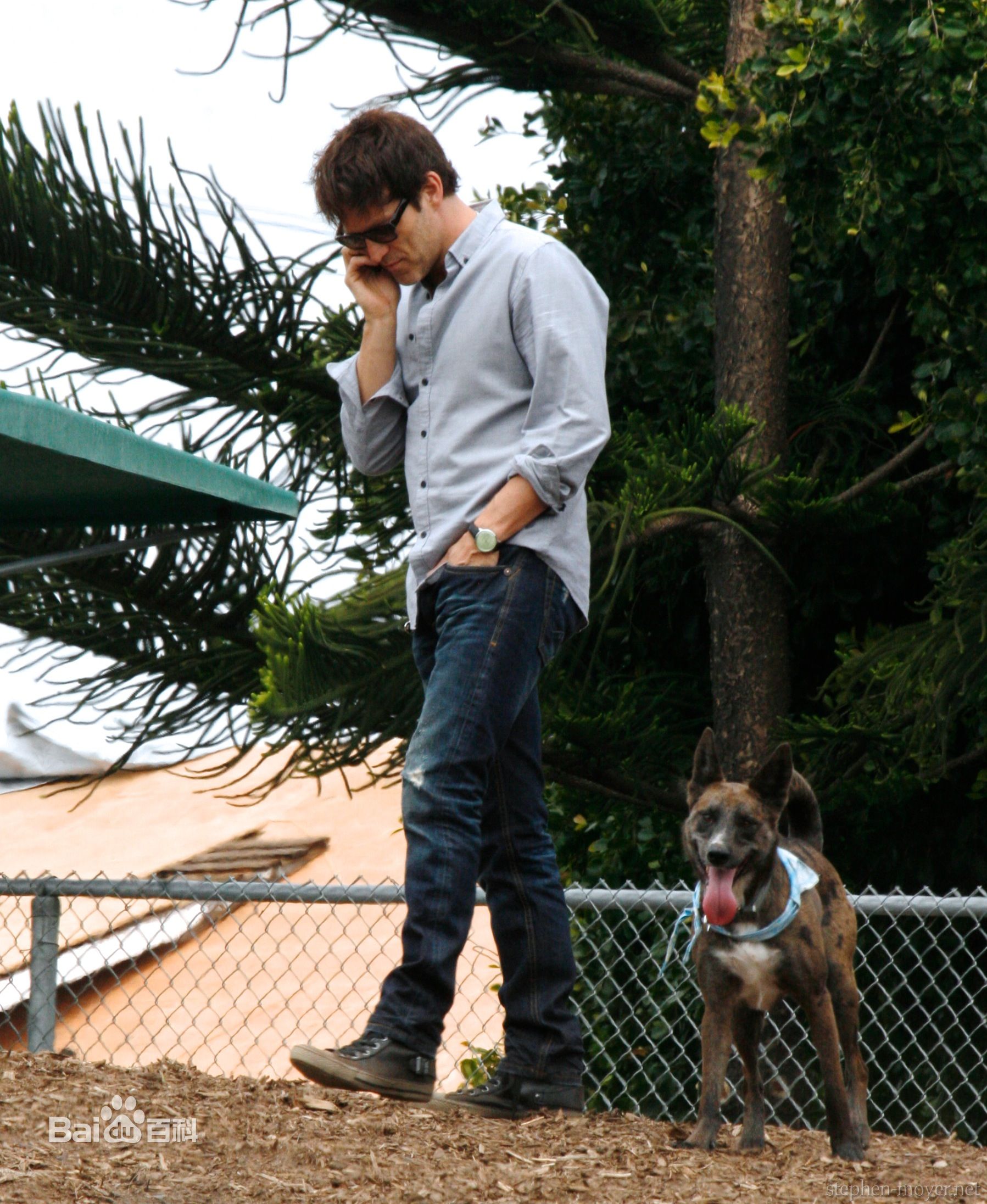 精选史蒂芬·莫耶(Stephen Moyer)精彩图册