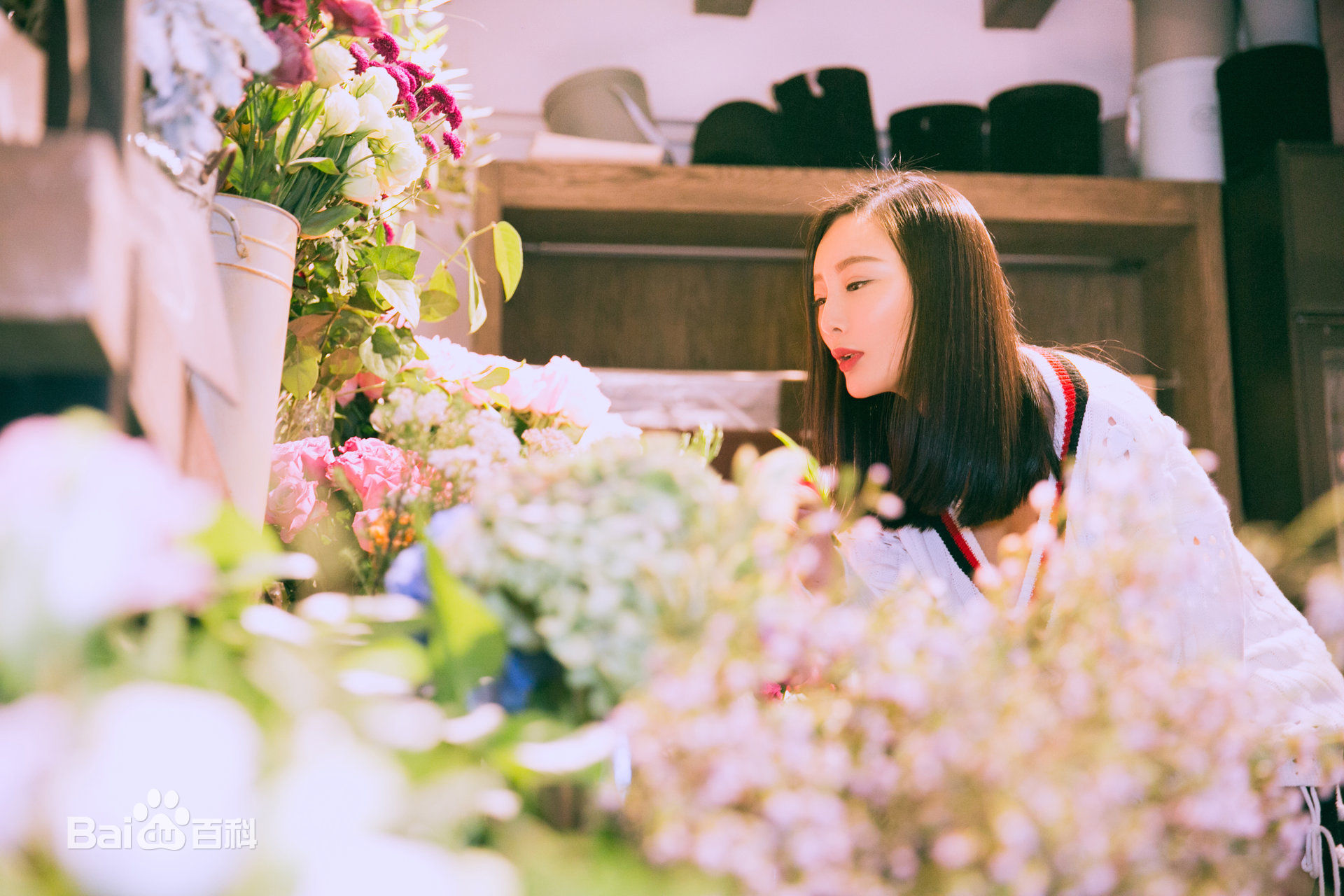 王李丹妮(Daniella Wang)最新图集