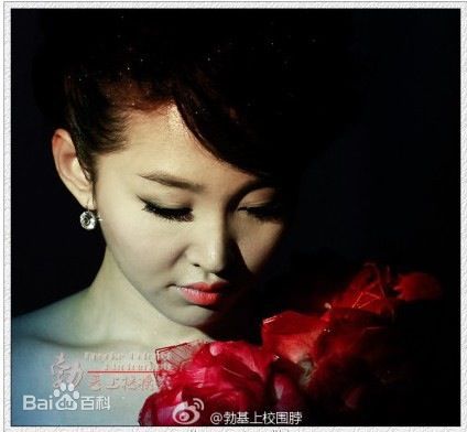 王芳美图集锦生活照相册