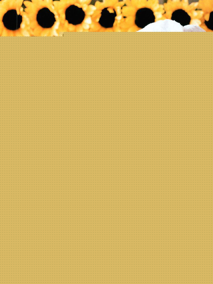 中越典子([ナカゴシ ノリコ]/NAKAGOSHI　 NORIKO)最新壁纸