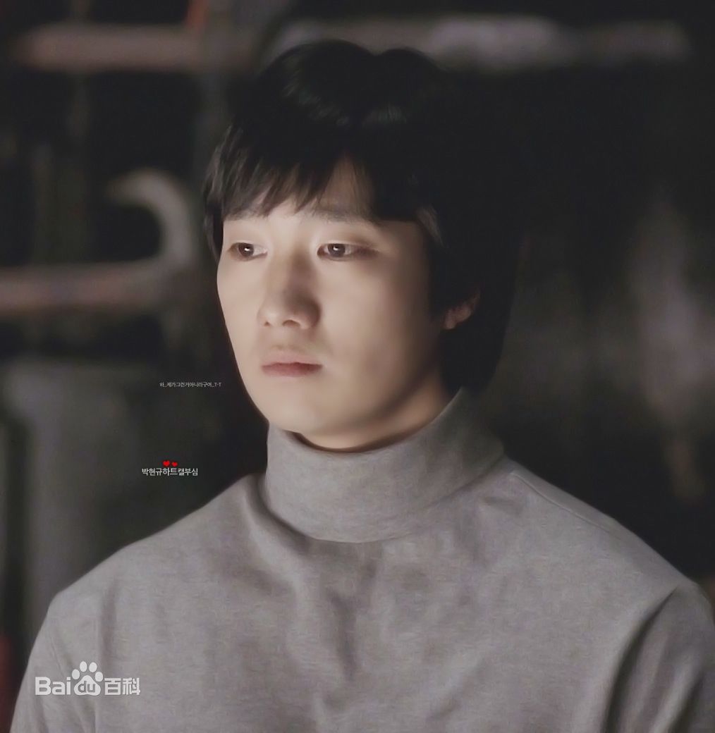 朴海日(, Park hae il)精彩图册