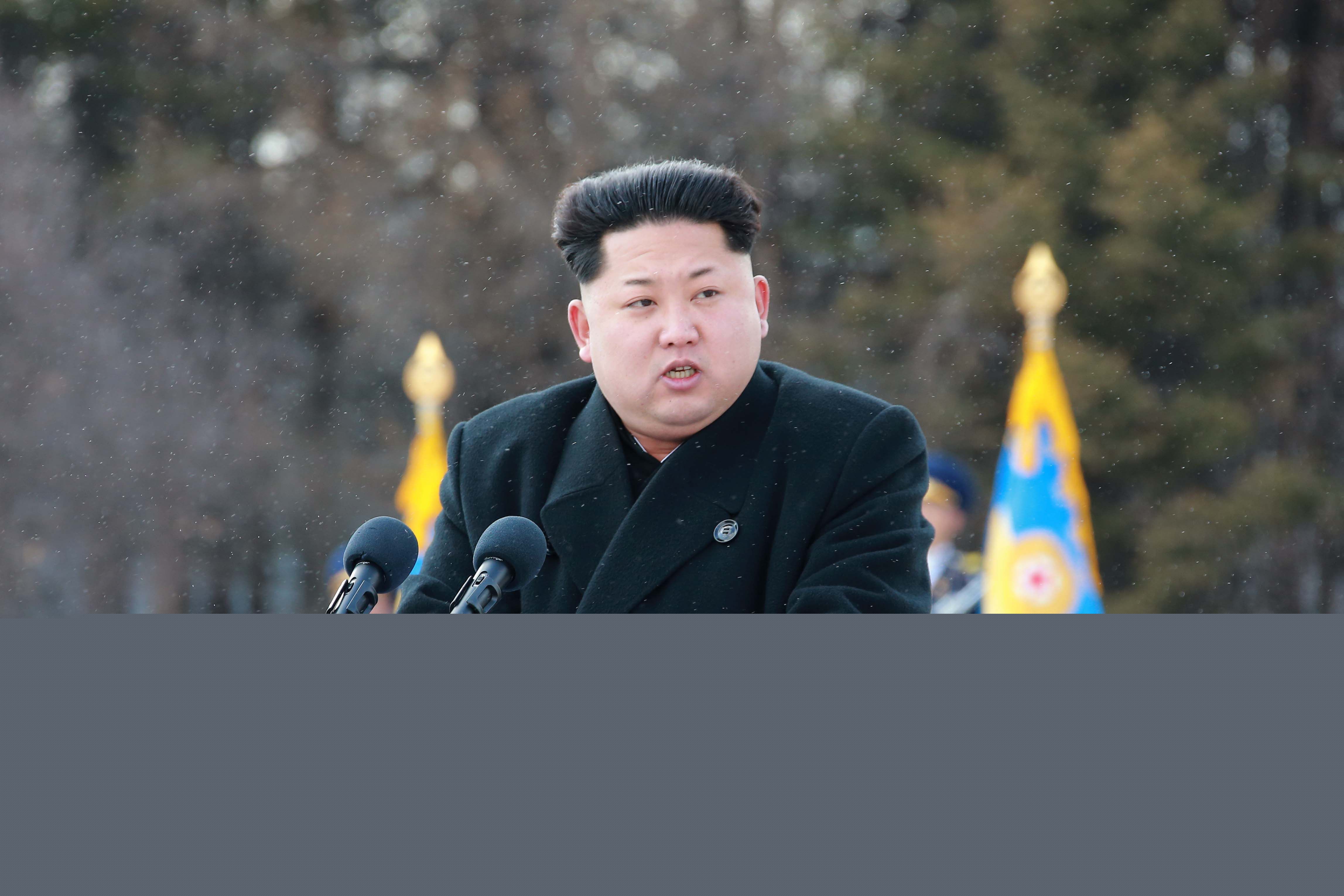 金正恩(（朝鲜文）；Kim Jong-un（英文）)前后照片