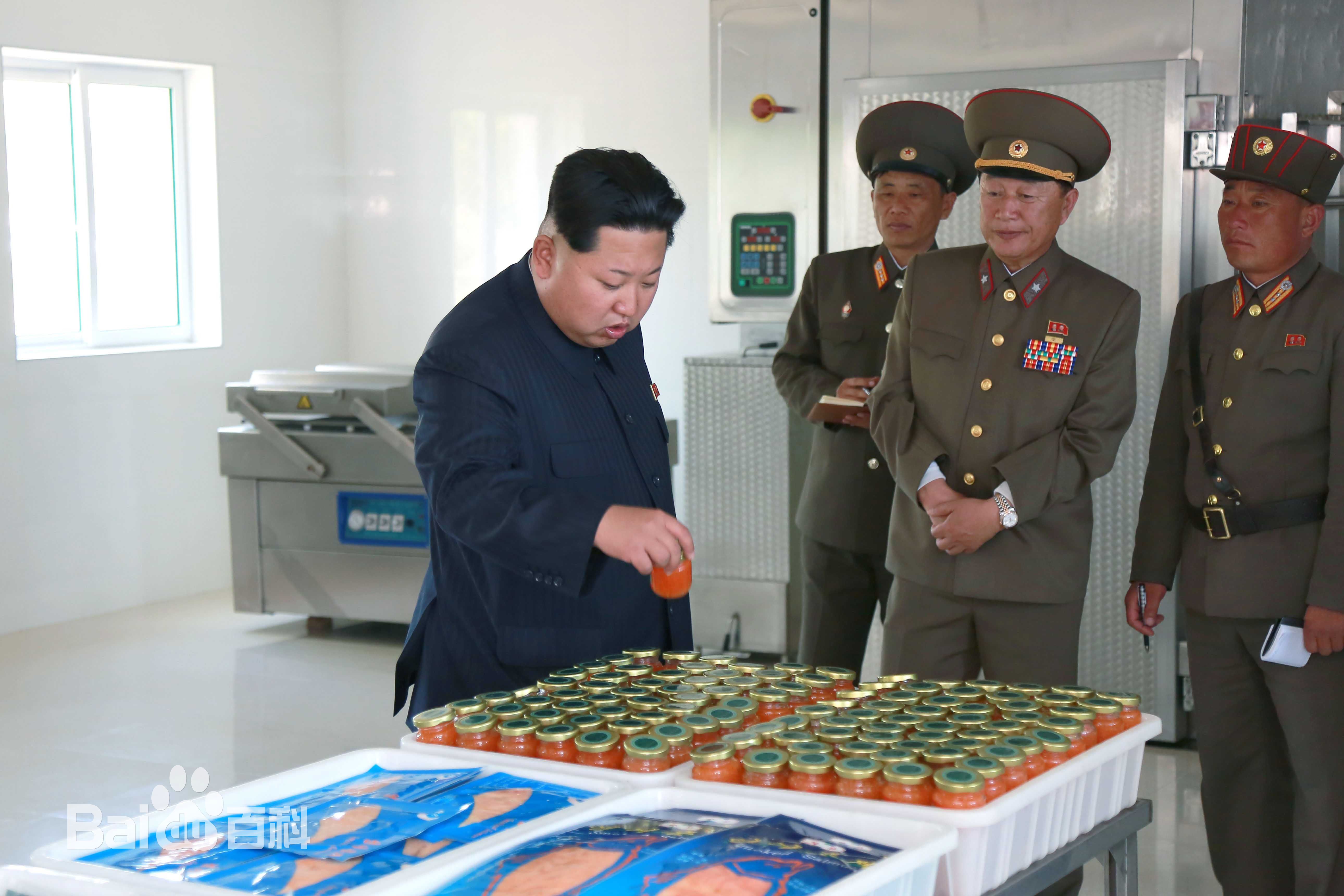 金正恩(（朝鲜文）；Kim Jong-un（英文）)前后照片