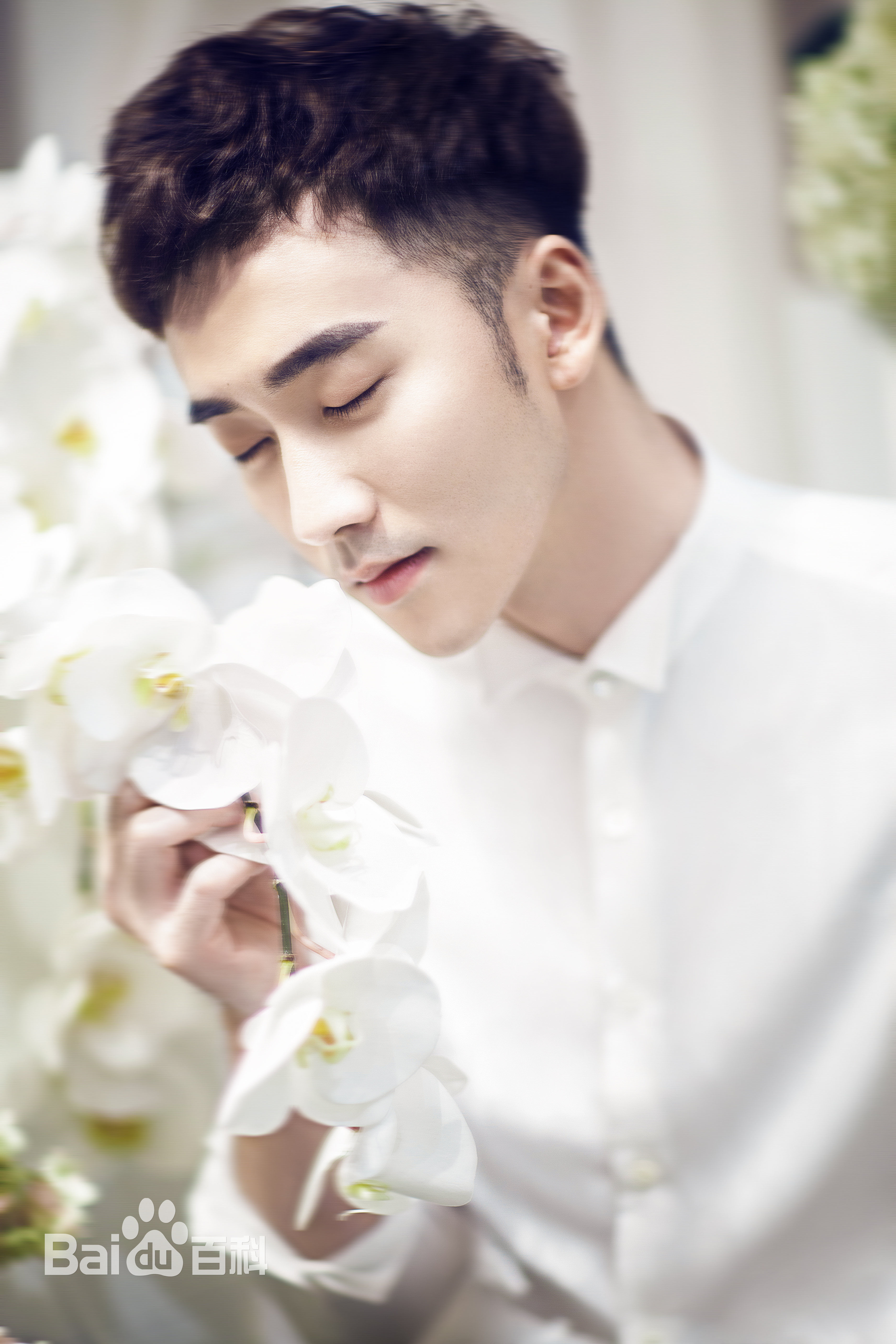 毛方圆(Francis)微博照精选前后照片