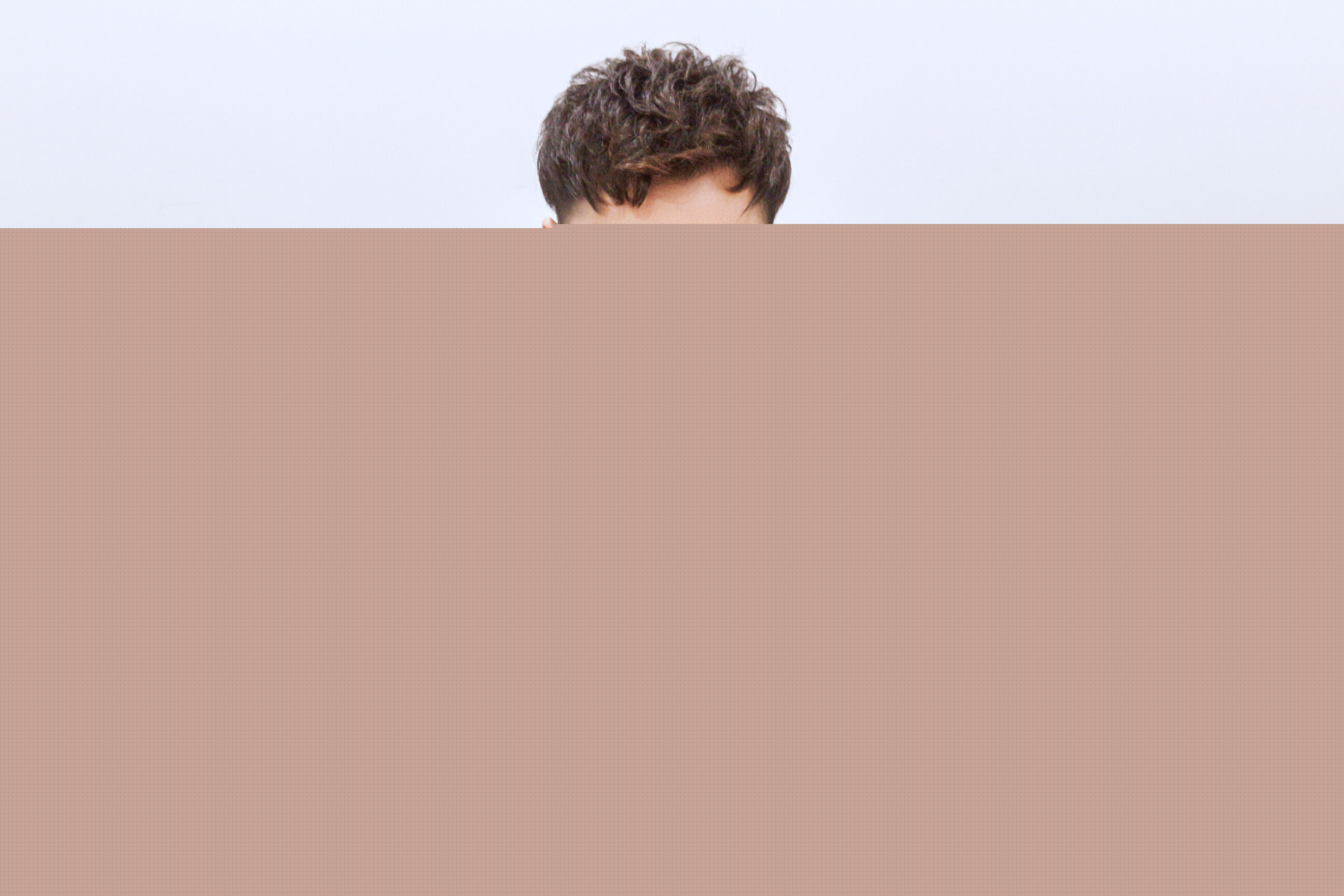 毛方圆(Francis) 活动照图片图册