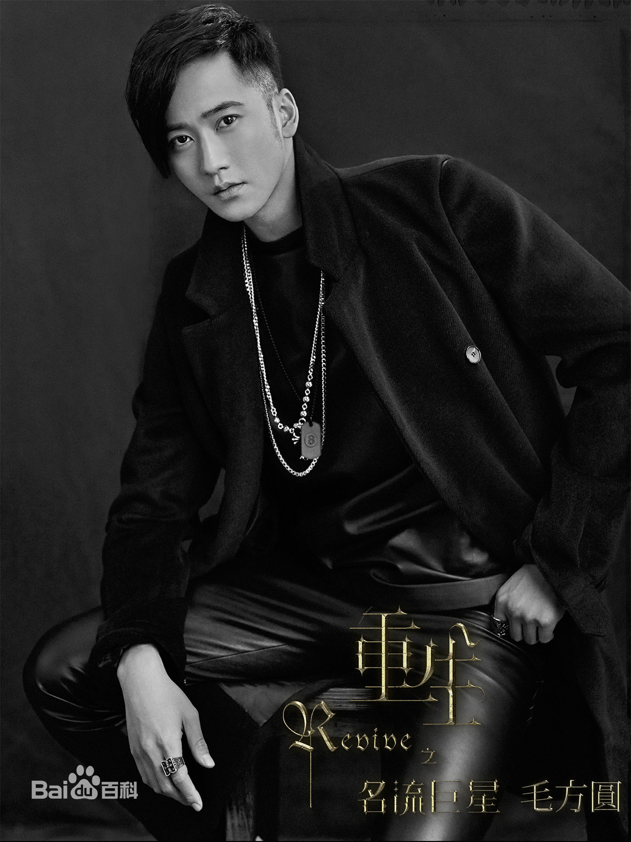 毛方圆(Francis)重生之名流巨星图片图集