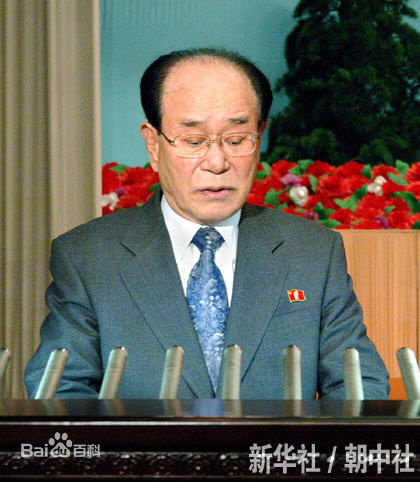 精选金永南()图片