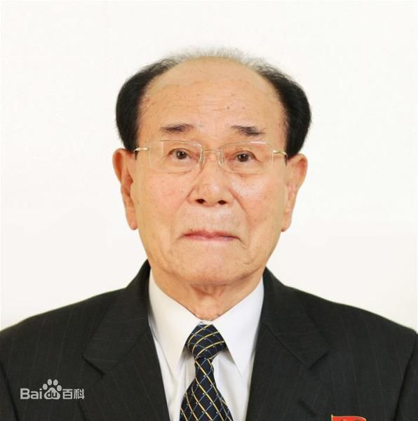 精选金永南()图片