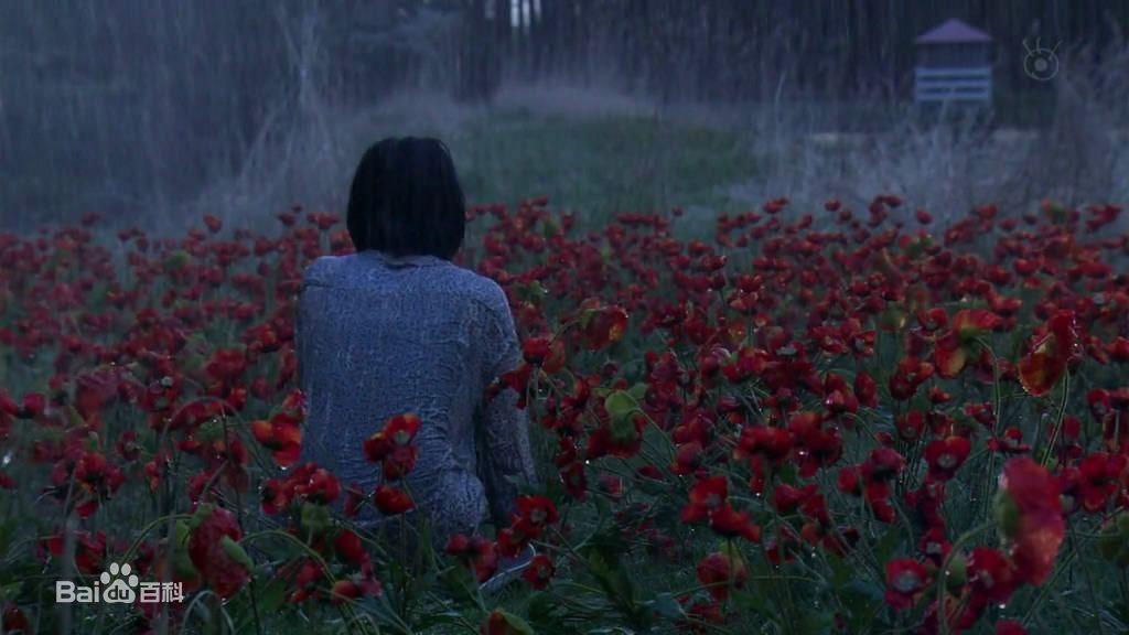 满岛光(満岛ひかり，Mitsushima Hikari ，みつしま ひかり)电视剧图集前后照片