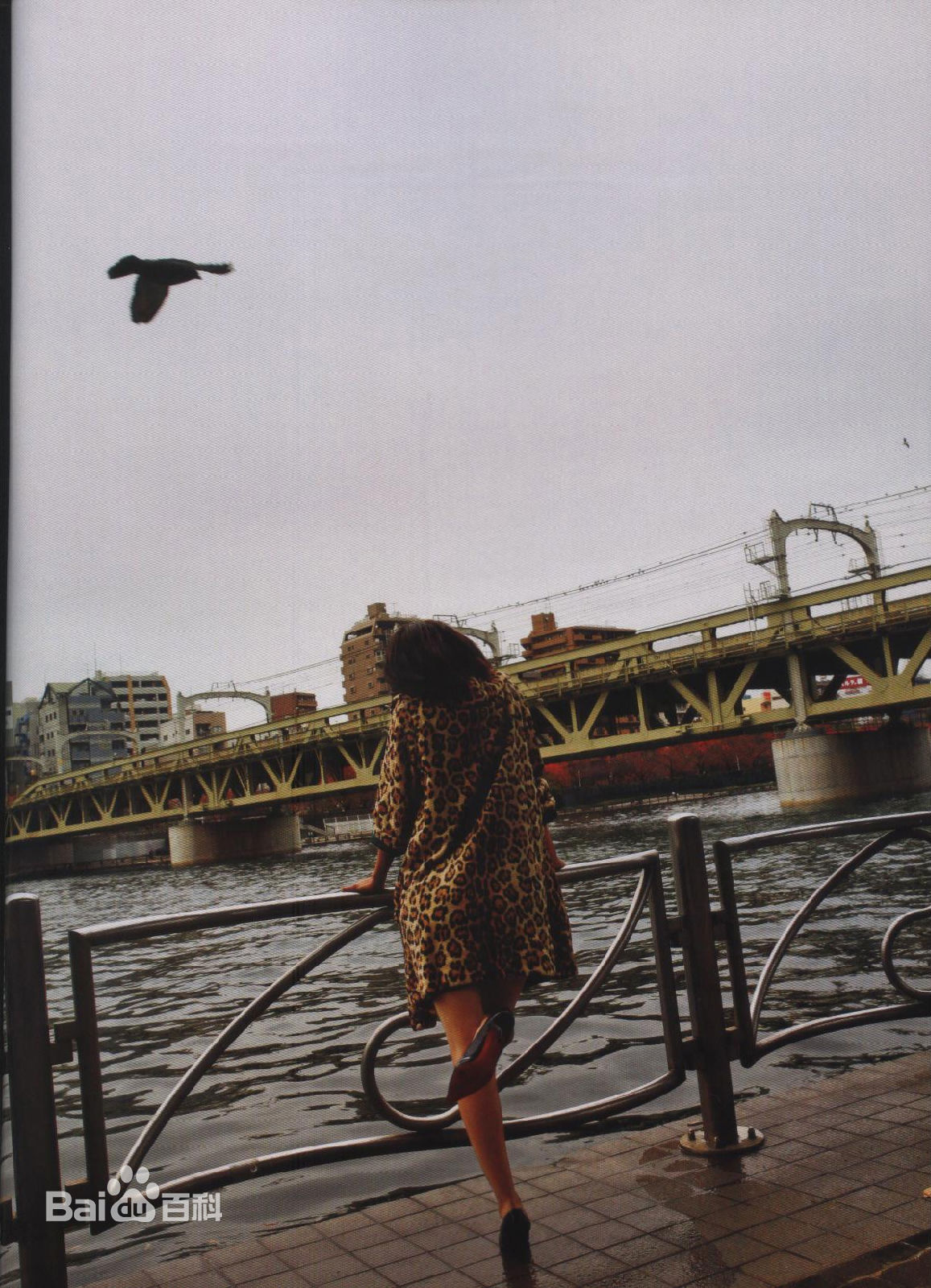 满岛光(満岛ひかり，Mitsushima Hikari ，みつしま ひかり)月刊 満岛ひかり，2010.2前后照片