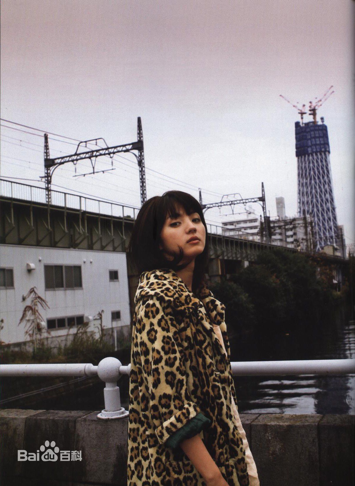 满岛光(満岛ひかり，Mitsushima Hikari ，みつしま ひかり)月刊 満岛ひかり，2010.2前后照片