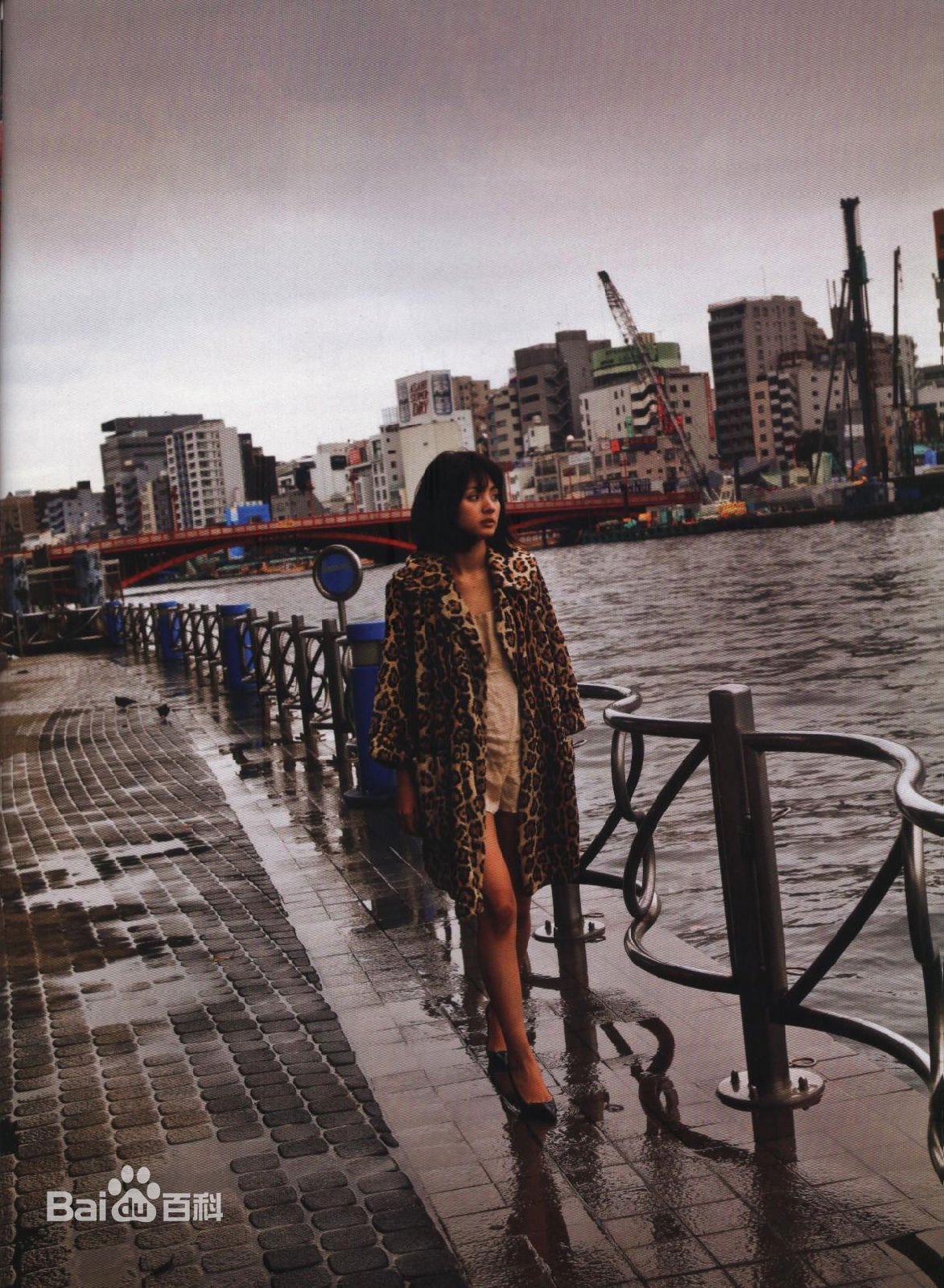 满岛光(満岛ひかり，Mitsushima Hikari ，みつしま ひかり)月刊 満岛ひかり，2010.2前后照片