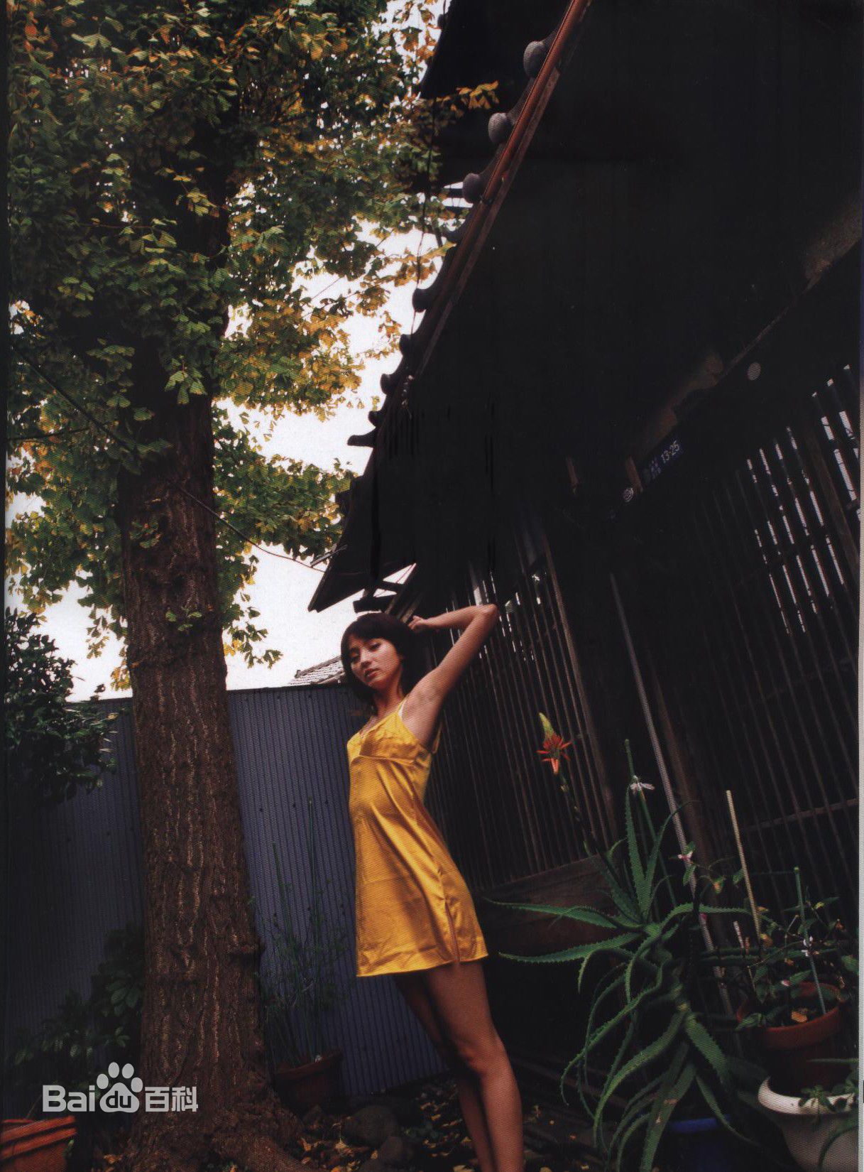 满岛光(満岛ひかり，Mitsushima Hikari ，みつしま ひかり)月刊 満岛ひかり，2010.2前后照片