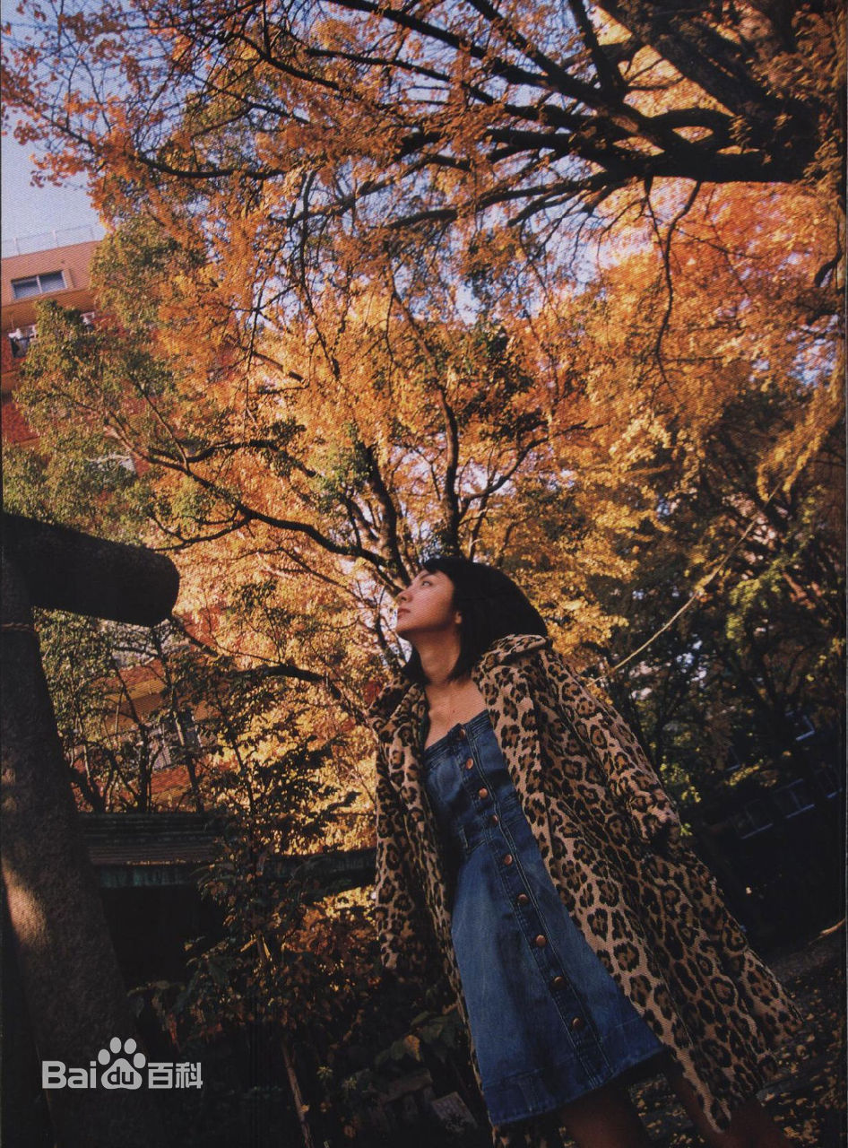 满岛光(満岛ひかり，Mitsushima Hikari ，みつしま ひかり)月刊 満岛ひかり，2010.2前后照片