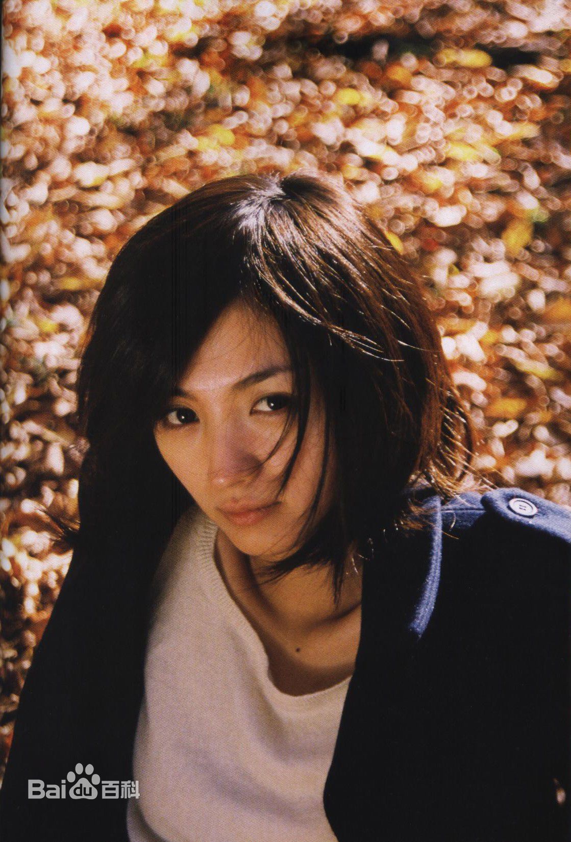 满岛光(満岛ひかり，Mitsushima Hikari ，みつしま ひかり)月刊 満岛ひかり，2010.2前后照片