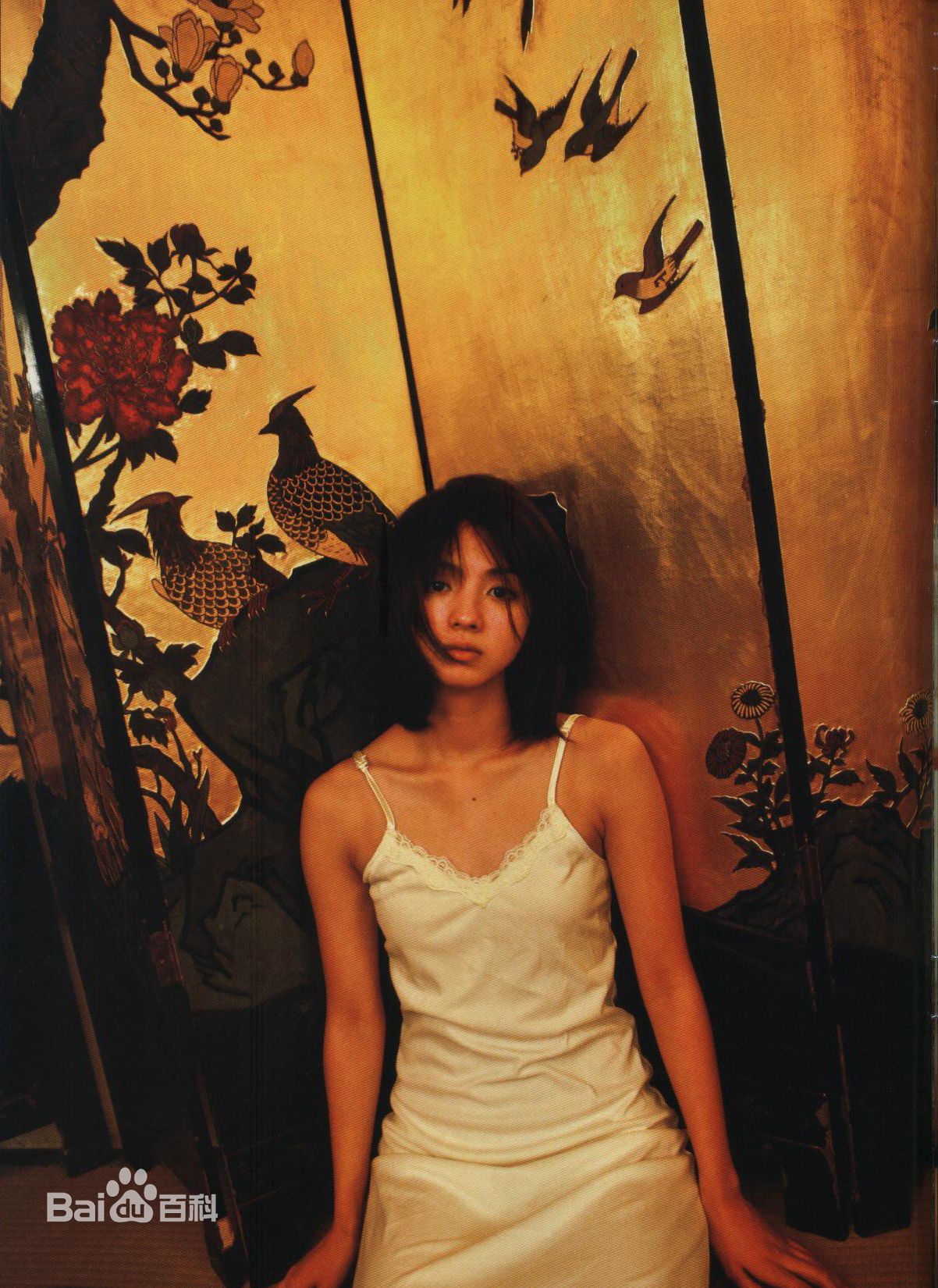 满岛光(満岛ひかり，Mitsushima Hikari ，みつしま ひかり)月刊 満岛ひかり，2010.2前后照片