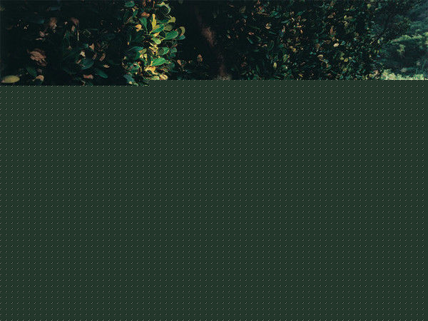 精选满岛光(満岛ひかり，Mitsushima Hikari ，みつしま ひかり)