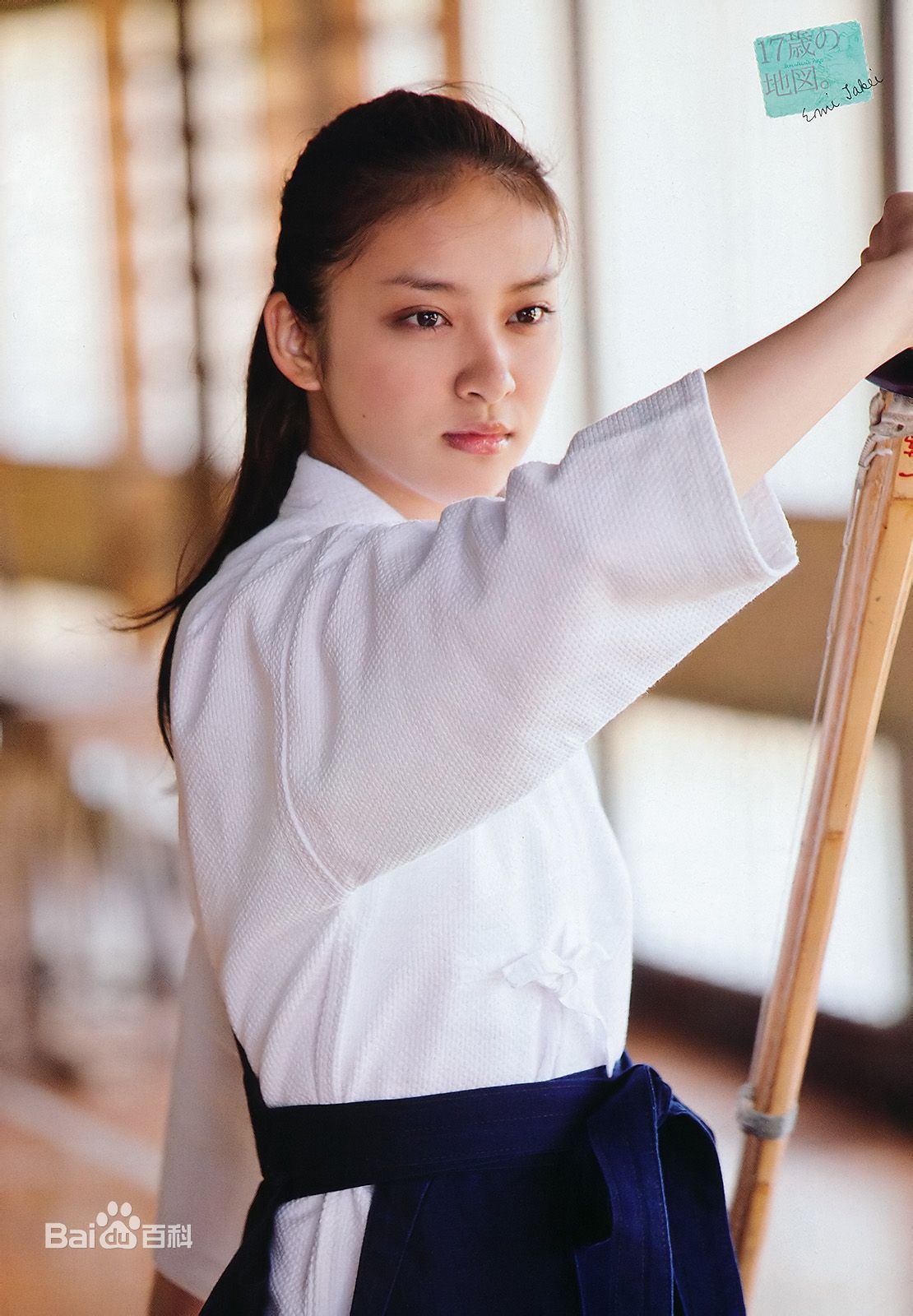 武井咲(Takei Emi)图片集图册
