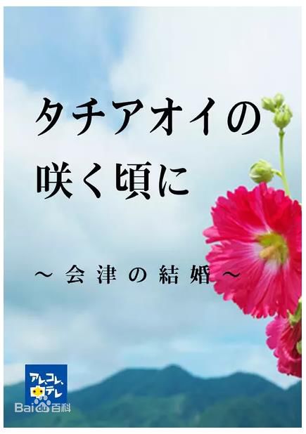 最新石桥杏奈(いしばしあんな、石橋杏奈)性感图片