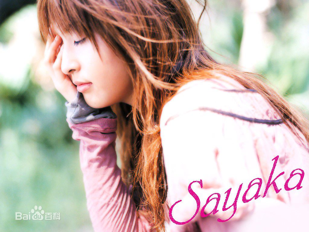 神田沙也加(神田 沙也加（かんだ さやか，Kanda Sayaka）)