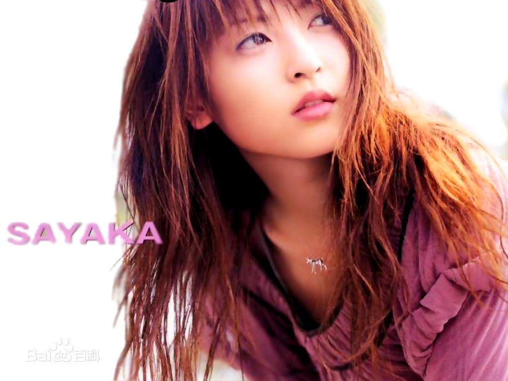 神田沙也加(神田 沙也加（かんだ さやか，Kanda Sayaka）)