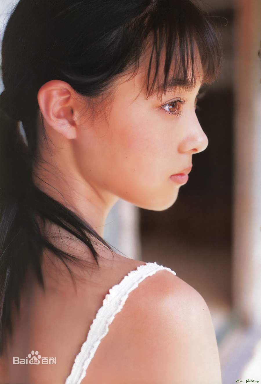 精选吹石 一恵(ふきいし かづえ)吹石一惠精彩图册