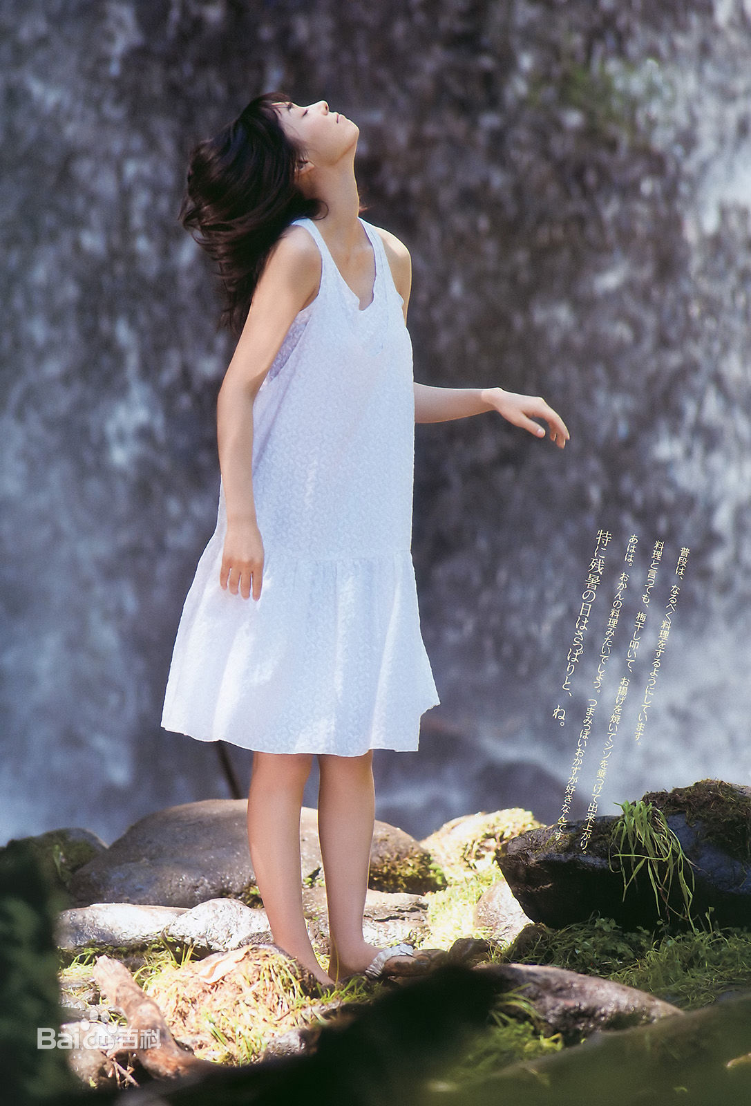 精选吹石 一恵(ふきいし かづえ)吹石一惠精彩图册