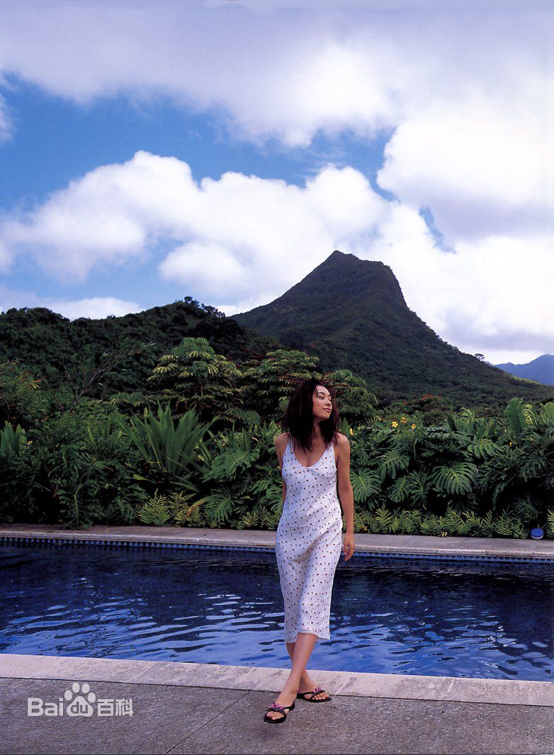 精选吹石 一恵(ふきいし かづえ)吹石一惠精彩图册