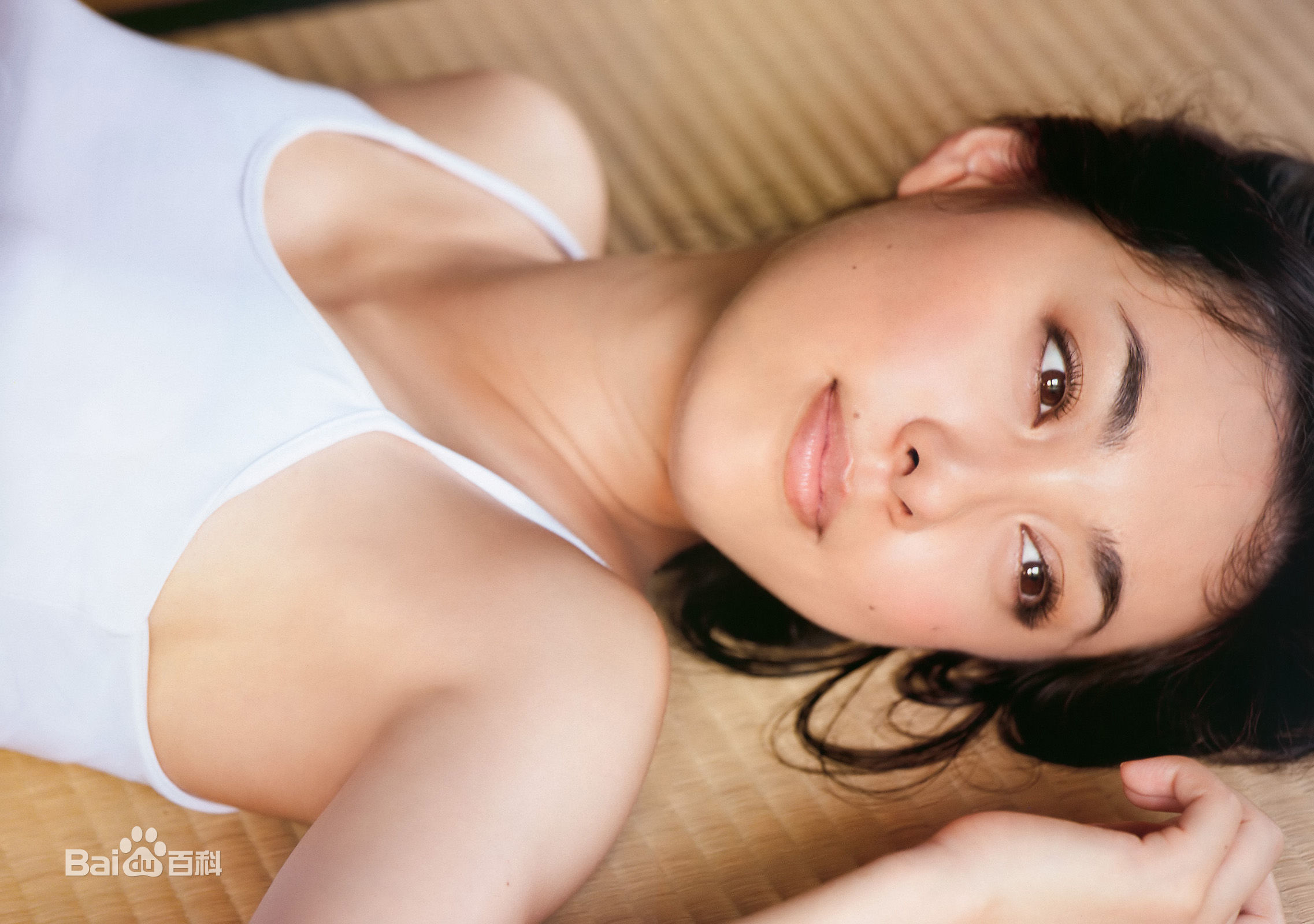 精选吹石 一恵(ふきいし かづえ)吹石一惠精彩图册