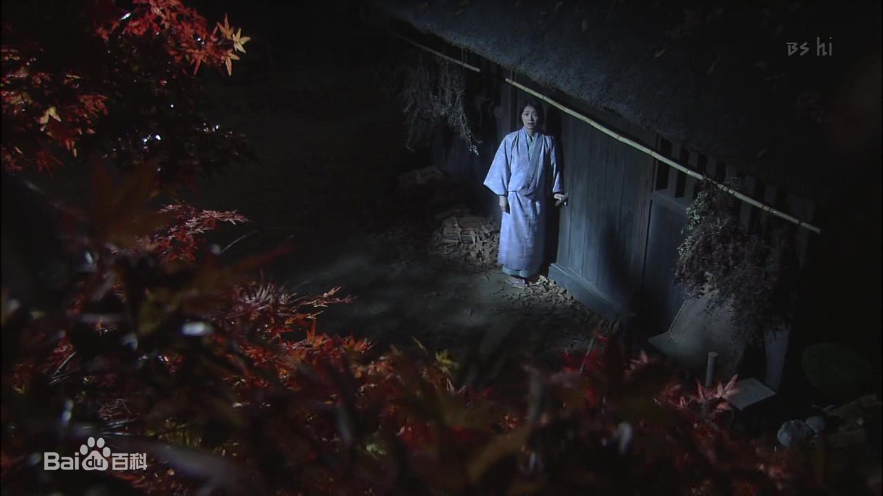 田中美佐子(たなか みさこ)天地人素颜照相册