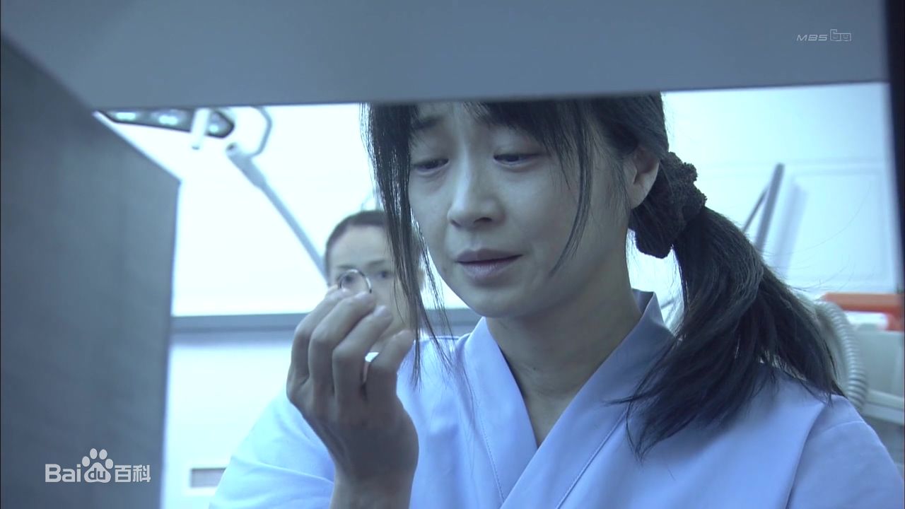 田中美佐子(たなか みさこ)出生壁纸壁纸