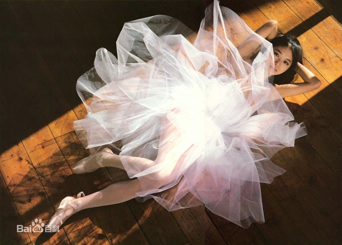 田中美佐子(たなか みさこ)高清图集