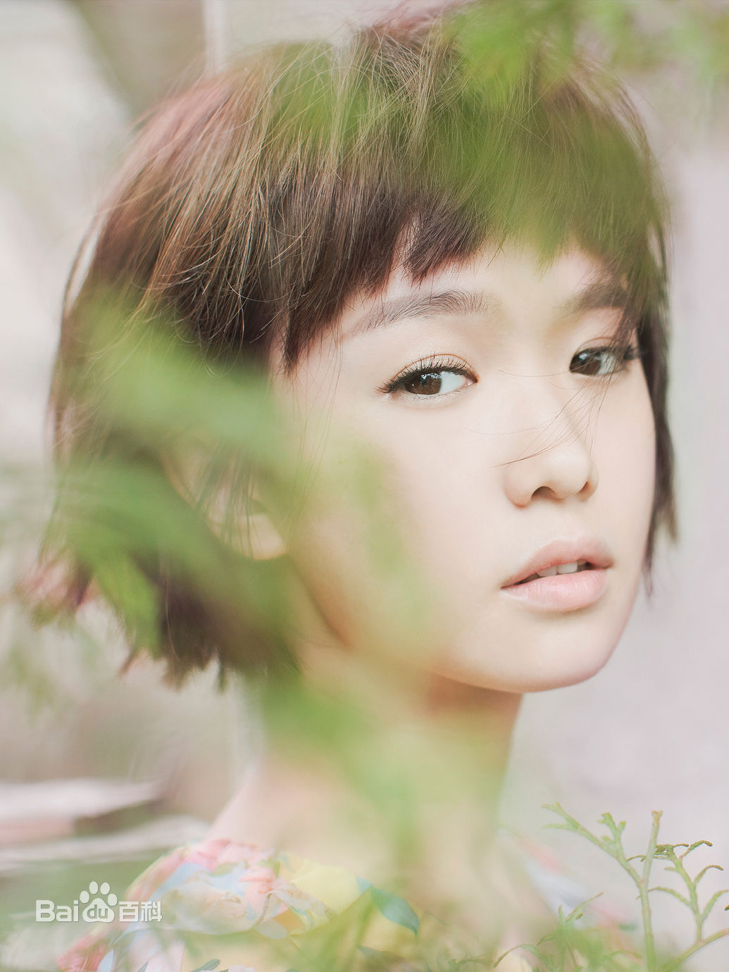 精选严正岚(Vera Yan)图片