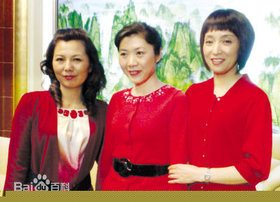 翟志刚妻子张淑静图册