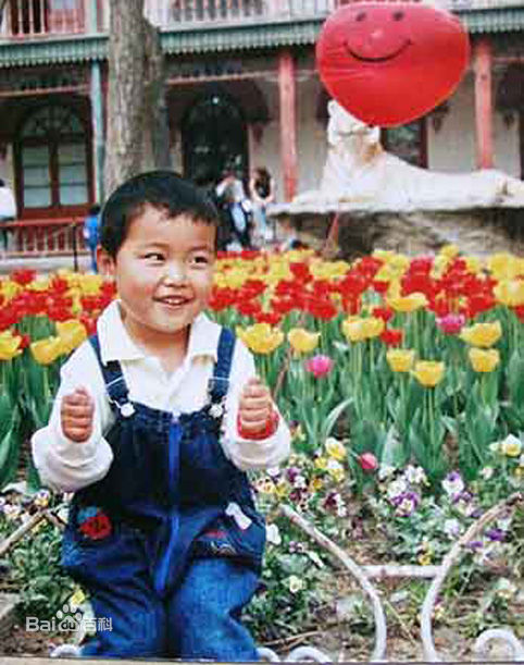 翟志刚妻子张淑静图册