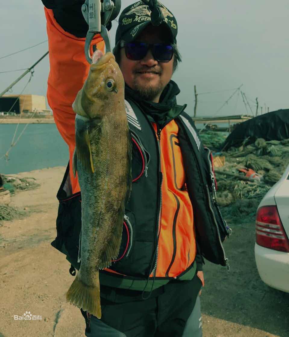 沈航生活照图片图集