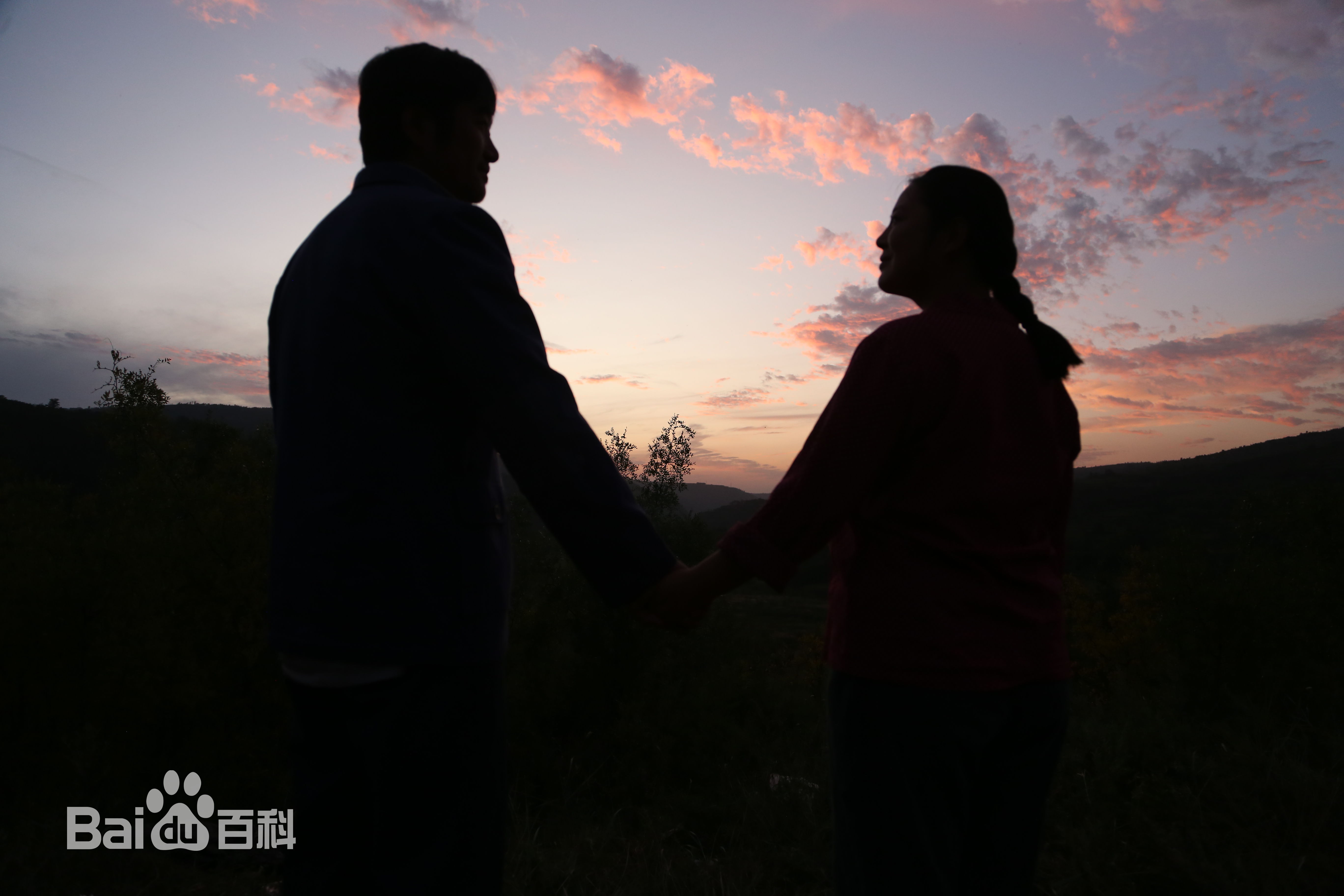 沈航《岁岁年年柿柿红》精选剧照