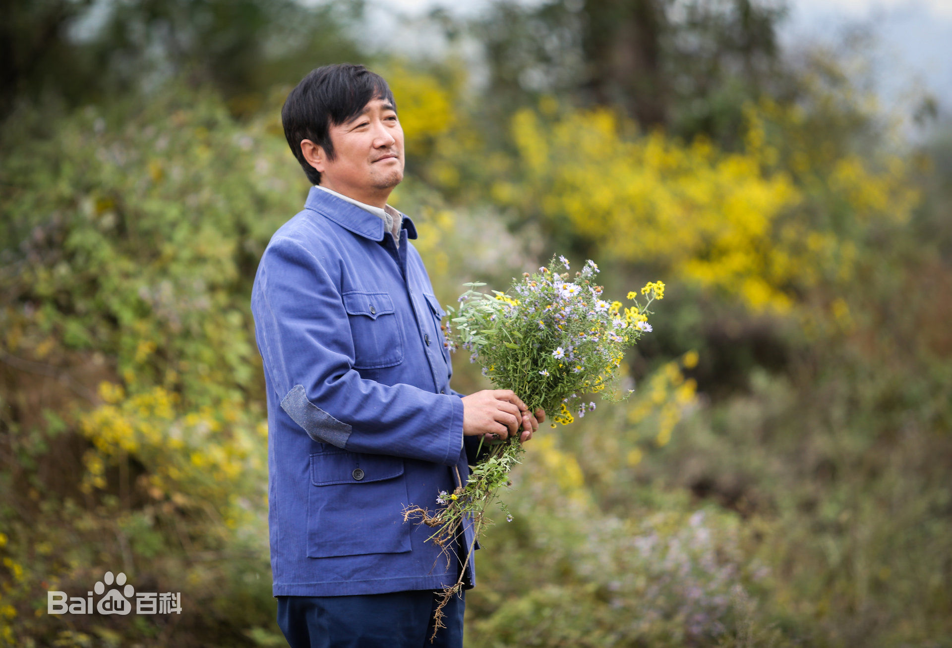 沈航《岁岁年年柿柿红》精选剧照