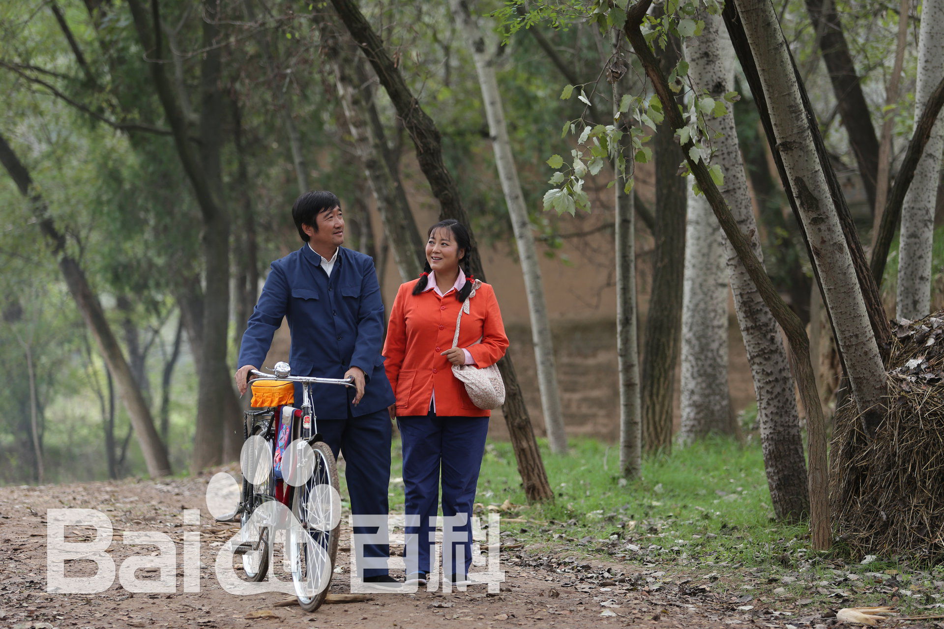 沈航《岁岁年年柿柿红》精选剧照