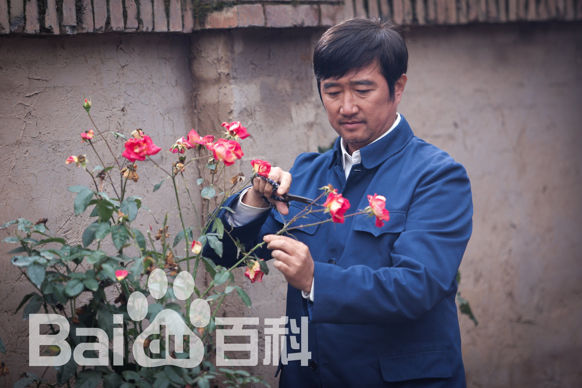 沈航《岁岁年年柿柿红》精选剧照