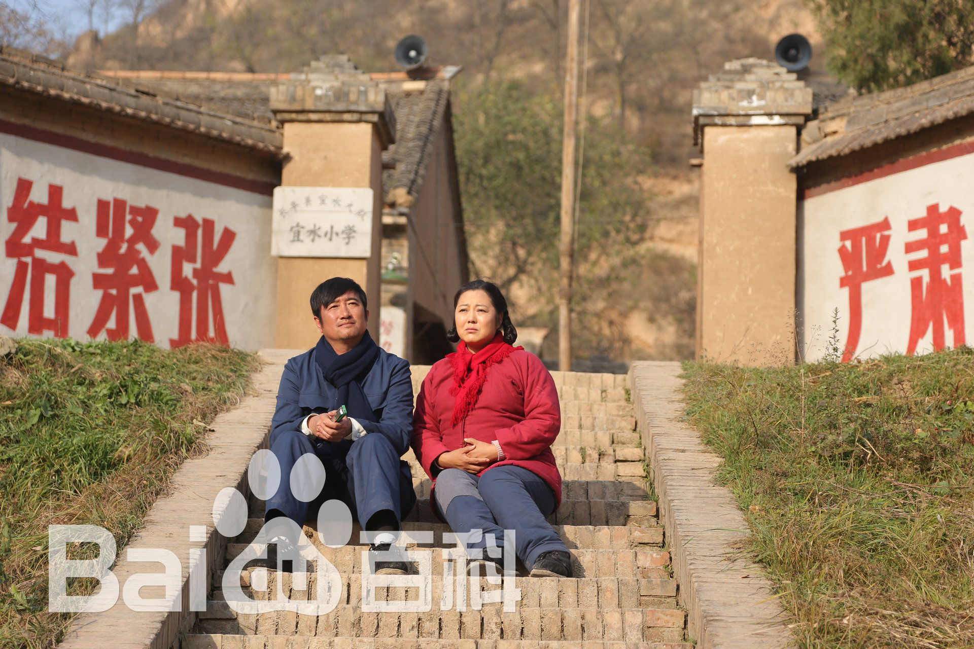 沈航《岁岁年年柿柿红》精选剧照