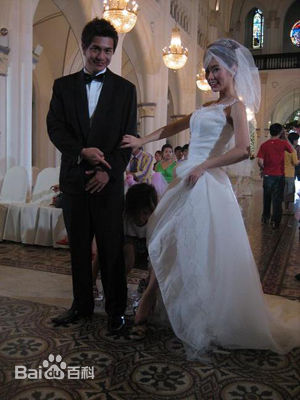 方展发(Png Tiang Huat, Pierre Theodore)作品壁纸壁纸