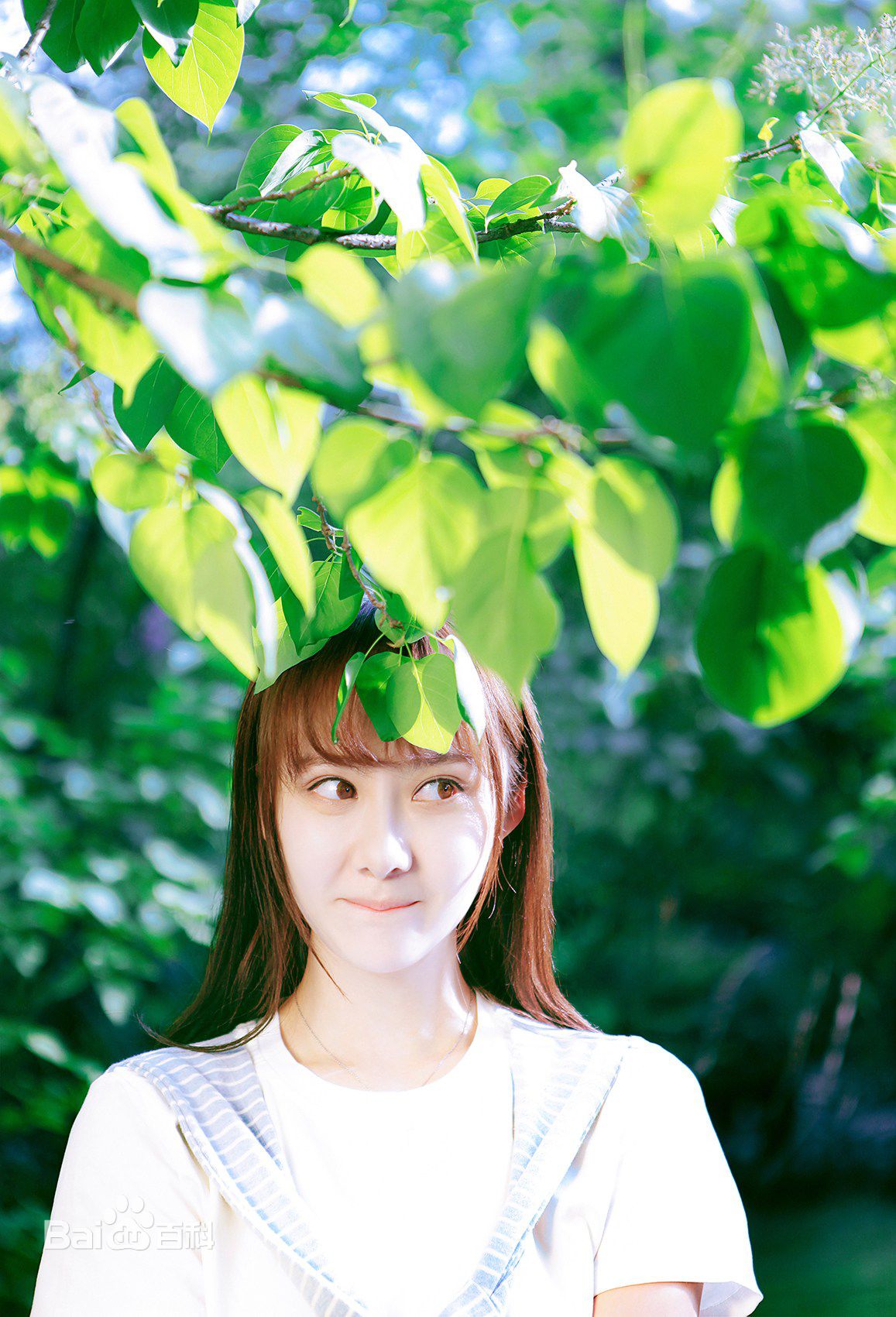 曹曦月高清生日图册