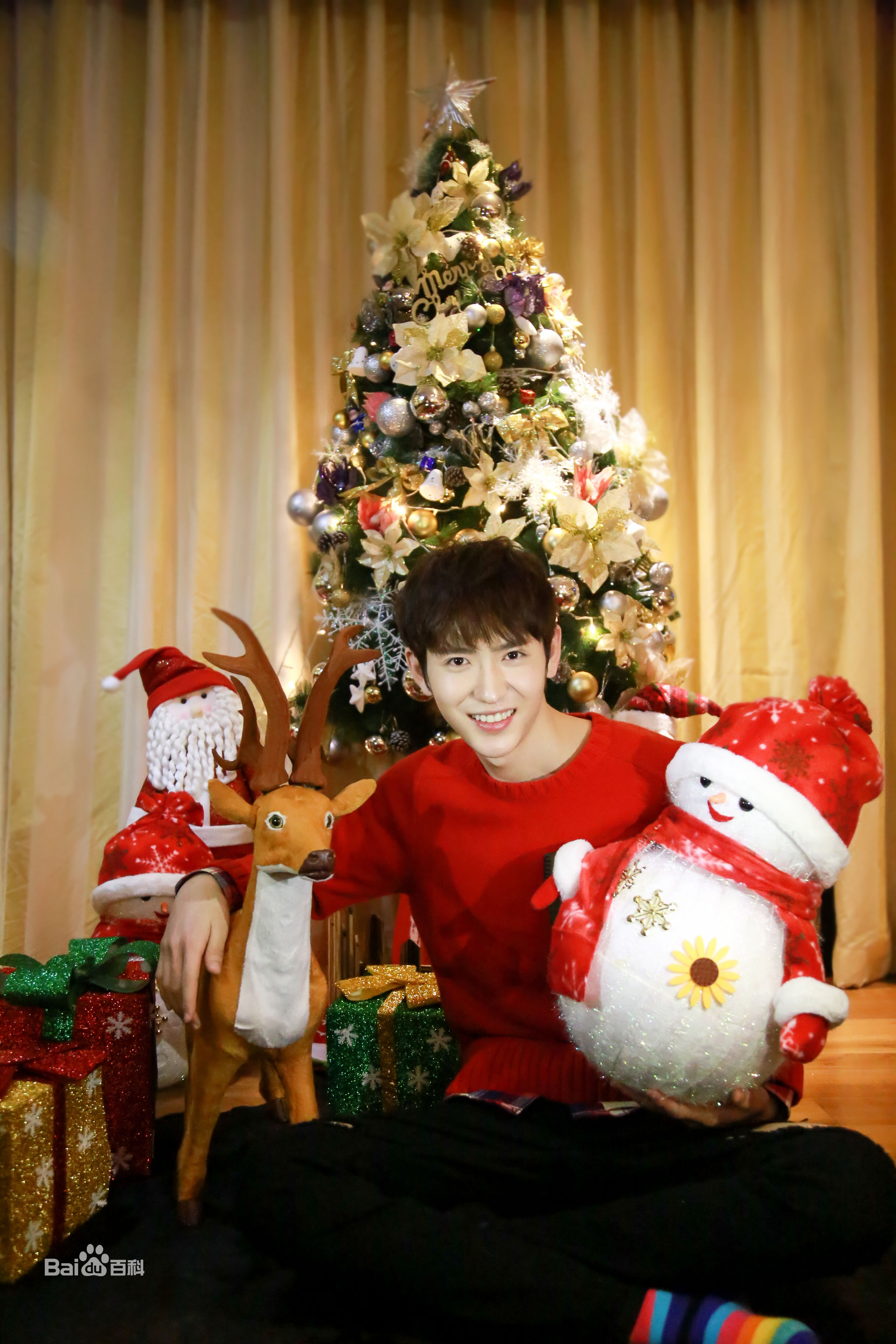 李东阳(Young)最新冬日壁纸