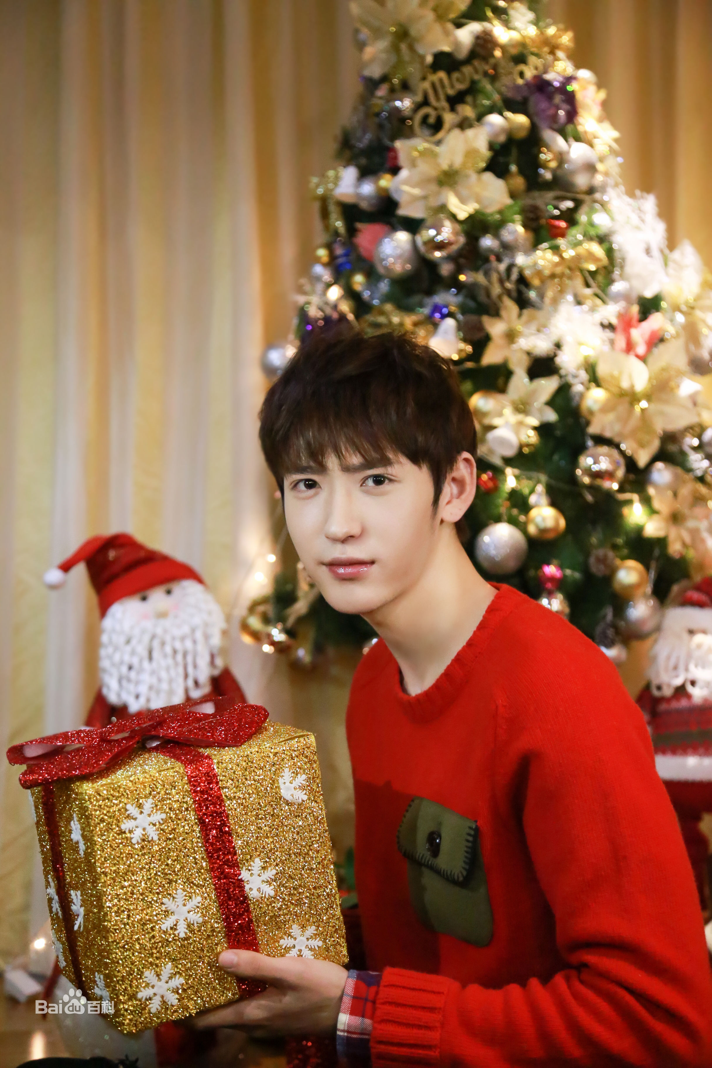 李东阳(Young)最新冬日壁纸