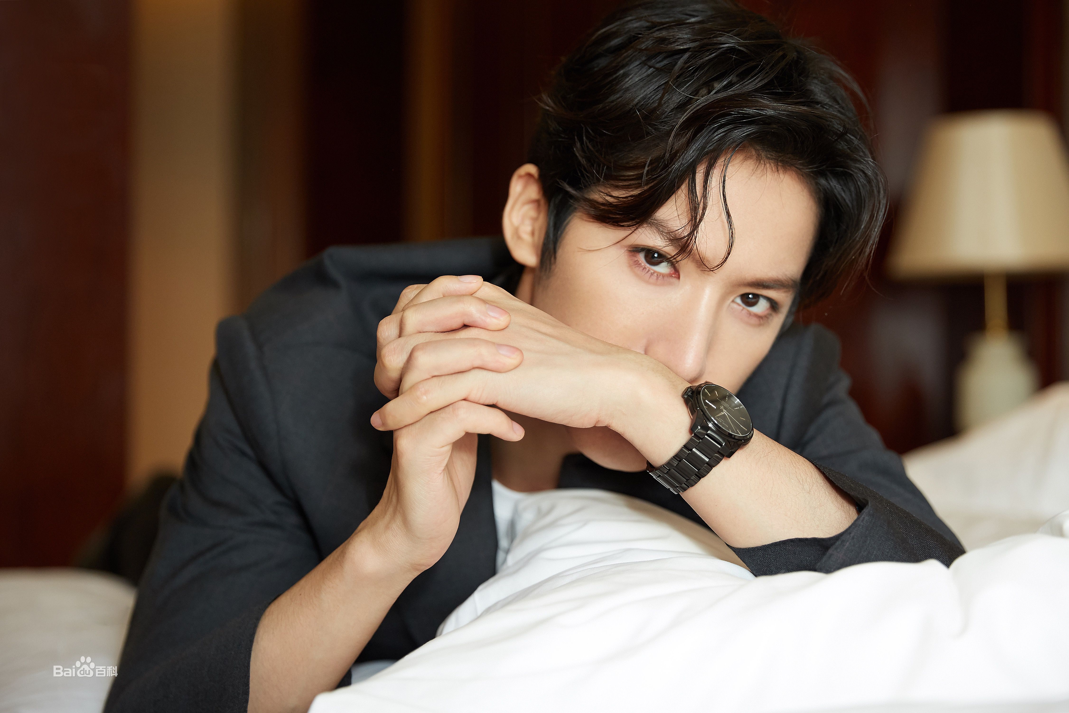 赖艺(Lion)照片壁纸壁纸